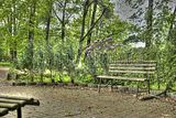 tannenfeld-sommer 2012-097